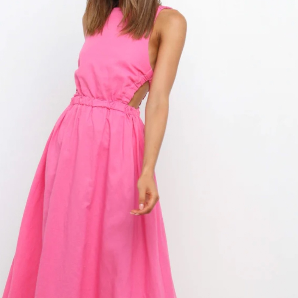 Petal and Pup Pink Dress